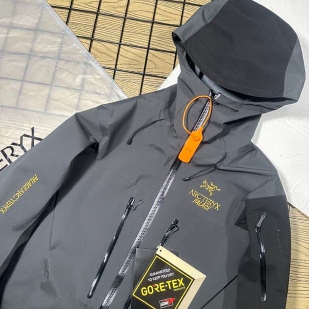 아크테릭스 팔라스 알파sv