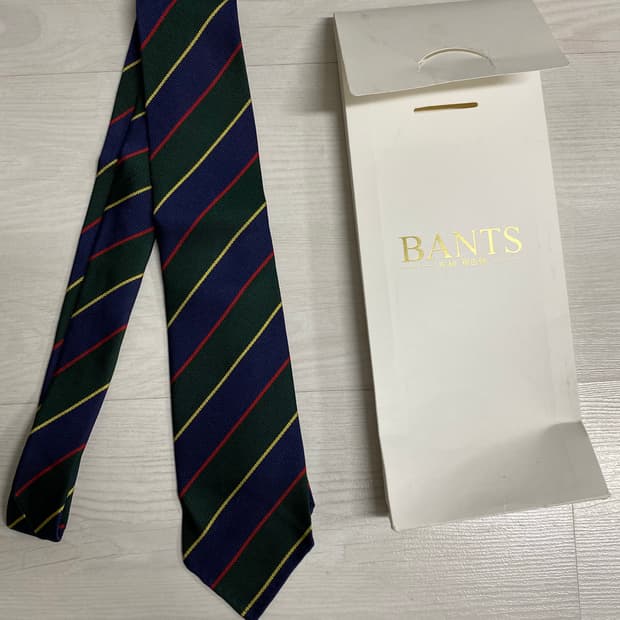 반츠 실크 레지멘탈 타이