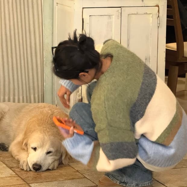 [새 상품] 돈비레잇 스트라이프 니트(남녀공용)