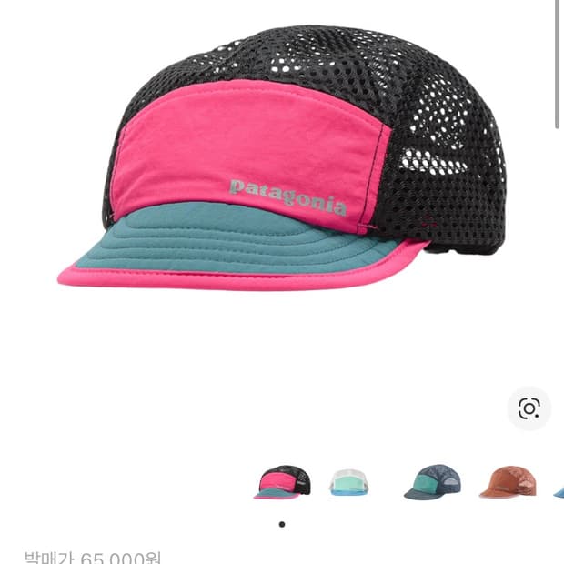 파타고니아 모자