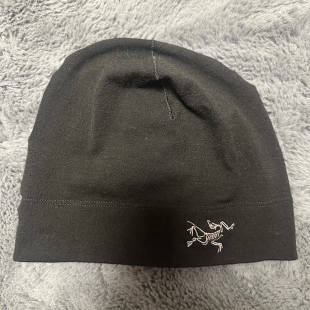 아크테릭스 비니