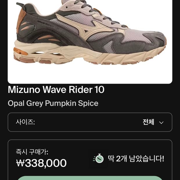 미즈노 웨이브 라이더 10 오팔 그레이 펌킨 스파이스