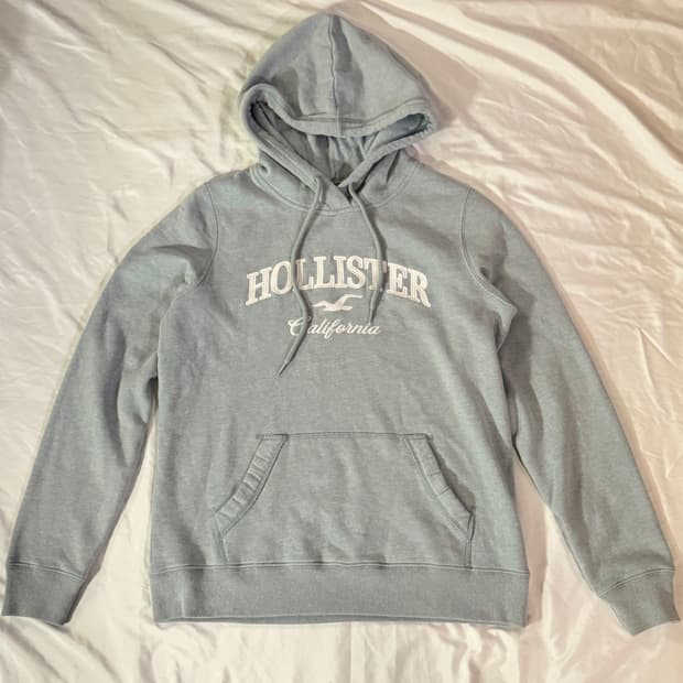 홀리스터 민트 후드
