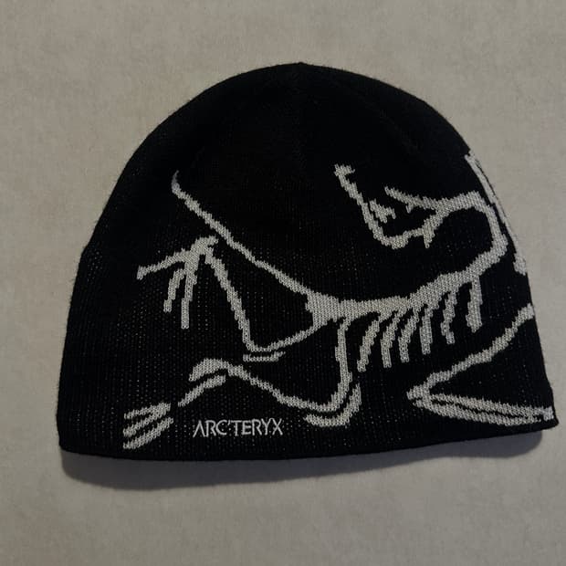 아크테릭스 비니