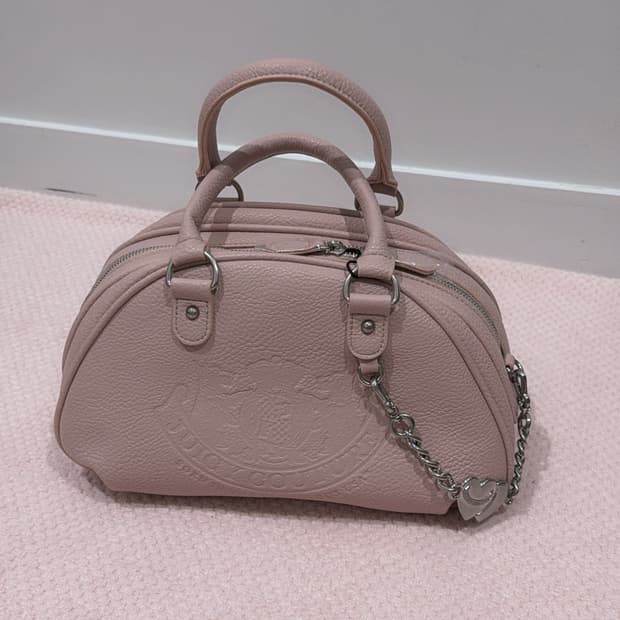 쥬시꾸뛰르 테리독 레더 가방 베이비메탈클럽 베이비베어 빈티지 y2