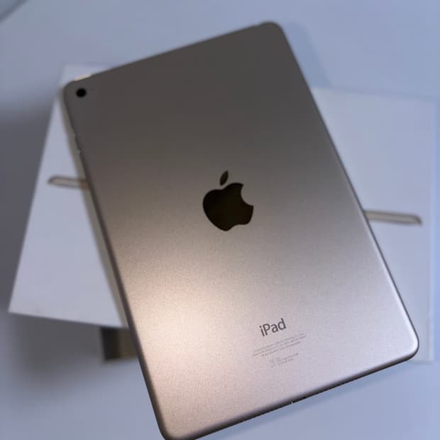 애플 아이패드 미니4 64기가 골드 (실리콘 케이스) iPad mini