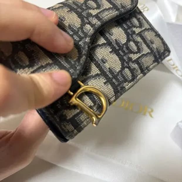 디올 오블리크 새들 지갑