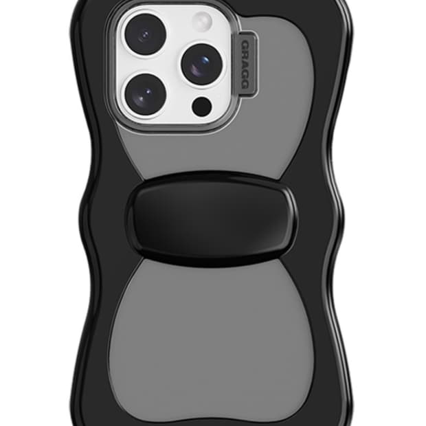 그래그 리본 케이스