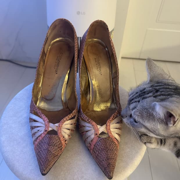 돌체앤가바나 힐 235mm