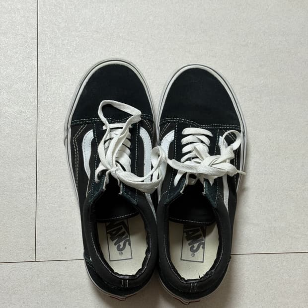 반스 올드스쿨 250