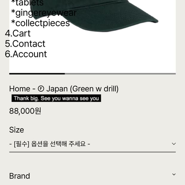 테프스토어즈 홈 Japan 캡 (L 그린)