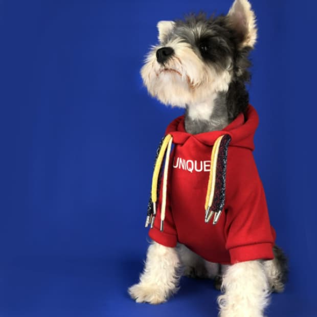 유니크 레드 강아지 후드티셔츠