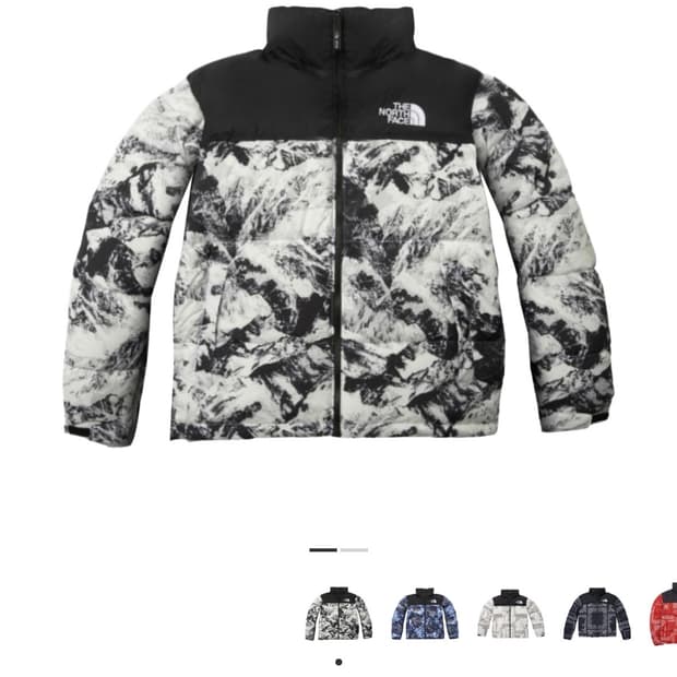 노스페이스 1996 눕시 노벨티 자켓 뉴트럴 그레이 L(100)