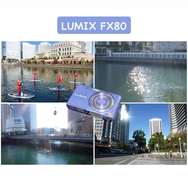 파나소닉 루믹스 DMC-FX80 퍼플 빈티지디카