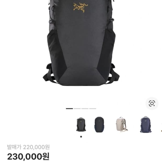 아크테릭스 멘티스 16 가방