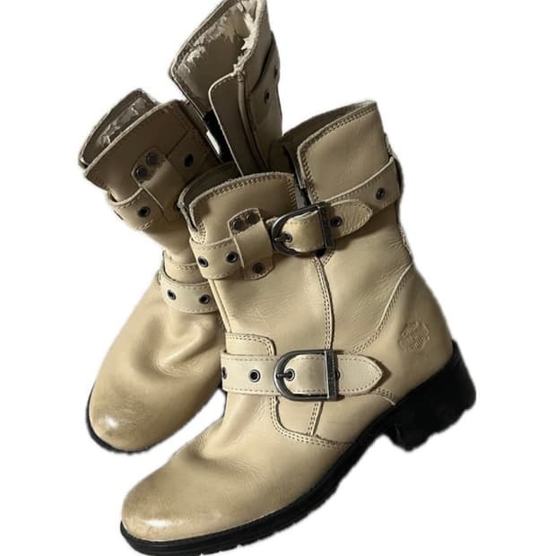 할리데이비슨 워커 250