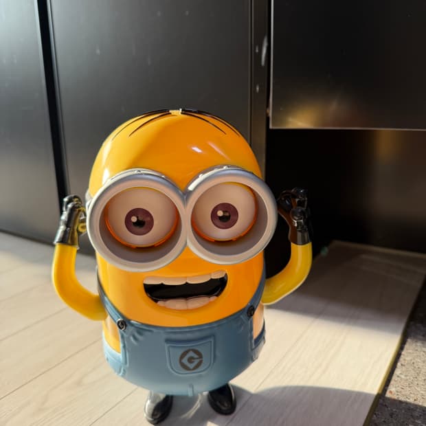 유니버셜스튜디오 미니언즈 팝콘통