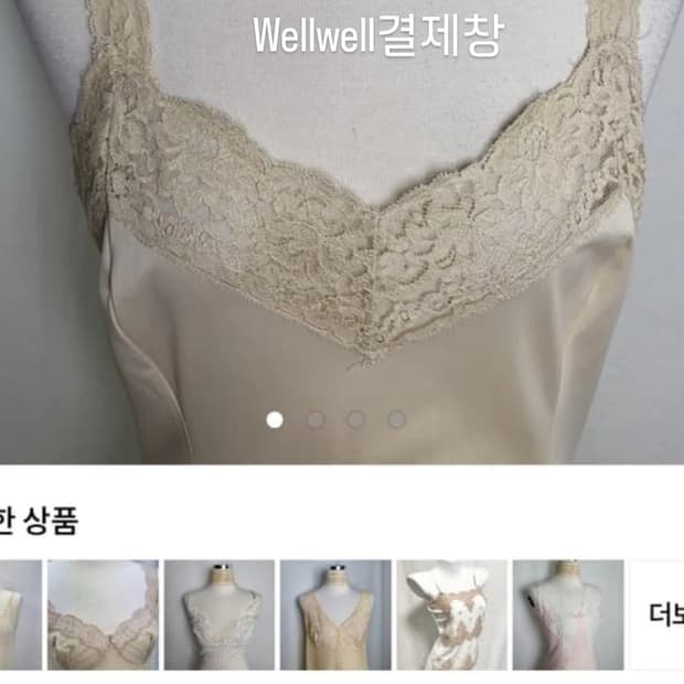 wellwell결제창