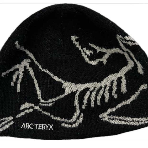 아크테릭스 비니 오르카