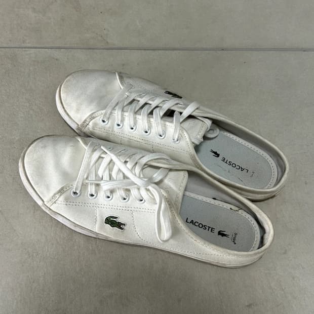 라코스테 뮬 스니커즈 240