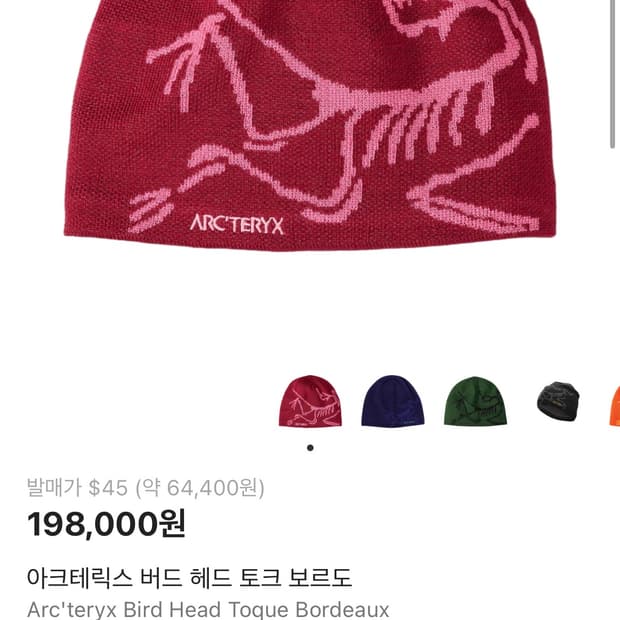 아크테릭스 비니 보르도