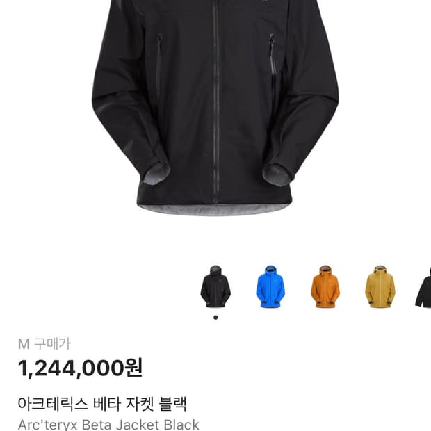 100-105) 아크테릭스 베타 자켓(일반인 구매불가 상품)