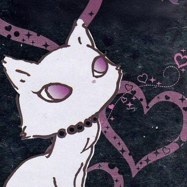 오픈와이와이 카키 자켓