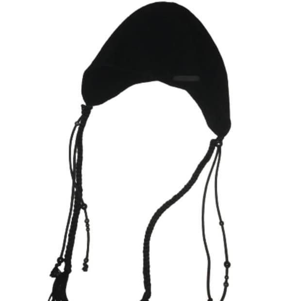 혜인서 테슬 비니