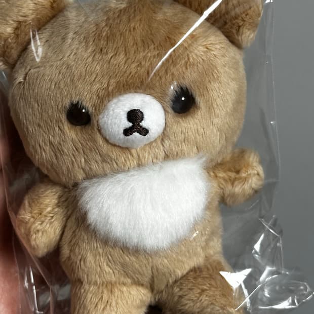 코구마 10주년 5color 리락쿠마 버전 꿀코구마 마스코트 새상품