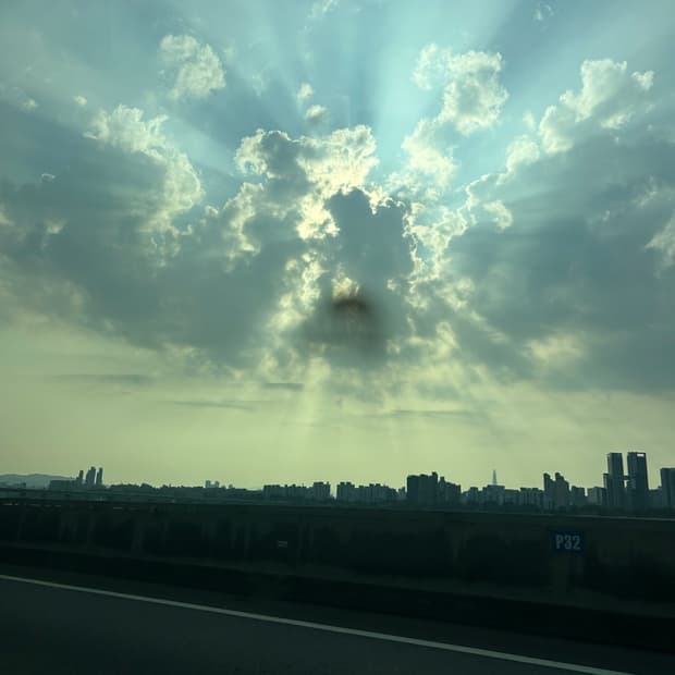 엑팜베스트 개인결제창