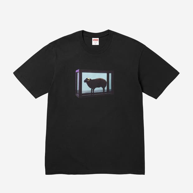 슈프림 x 데미안 허스트 티셔츠 블랙 - 25SS