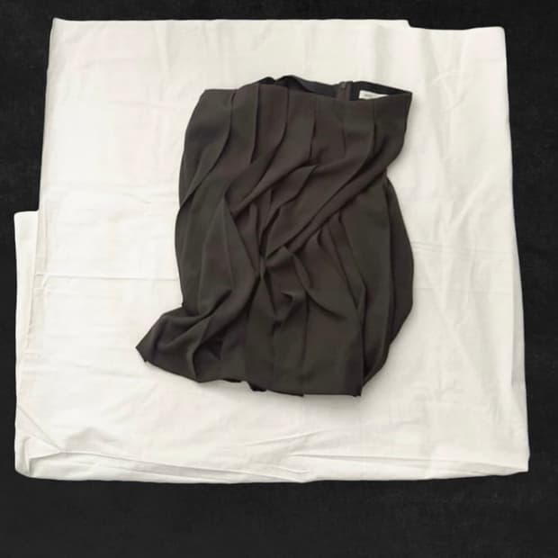 eonts pinched pleats skirt