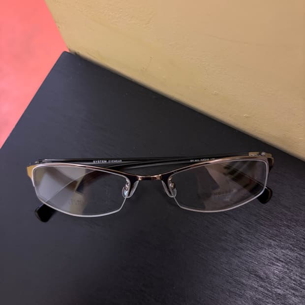 SYSTEM EYEWEAR SY 441