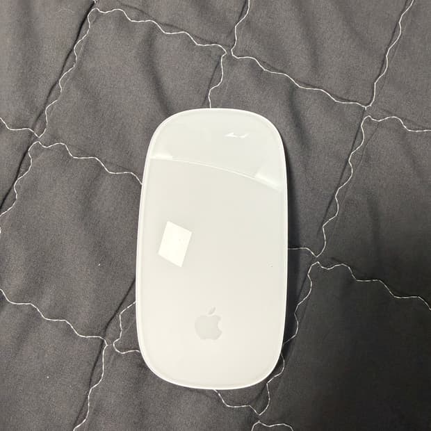 애플 마우스