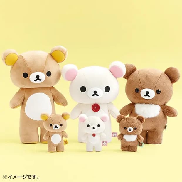 스탠딩 코리락쿠마 큰 누이구루미🐰🤍