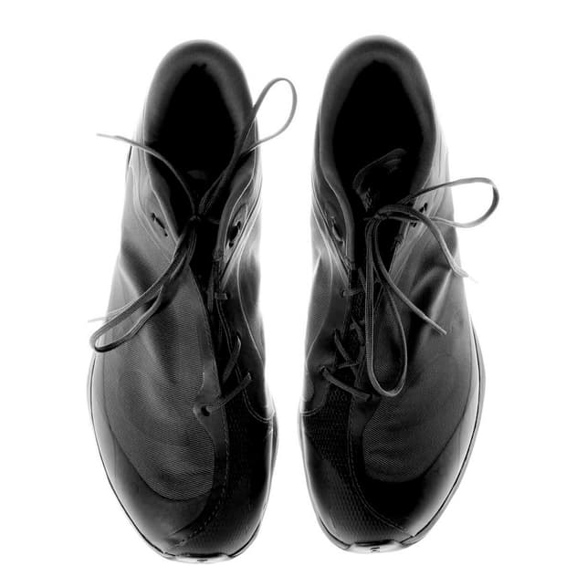 파프 온러닝 클라우드 벤처 265