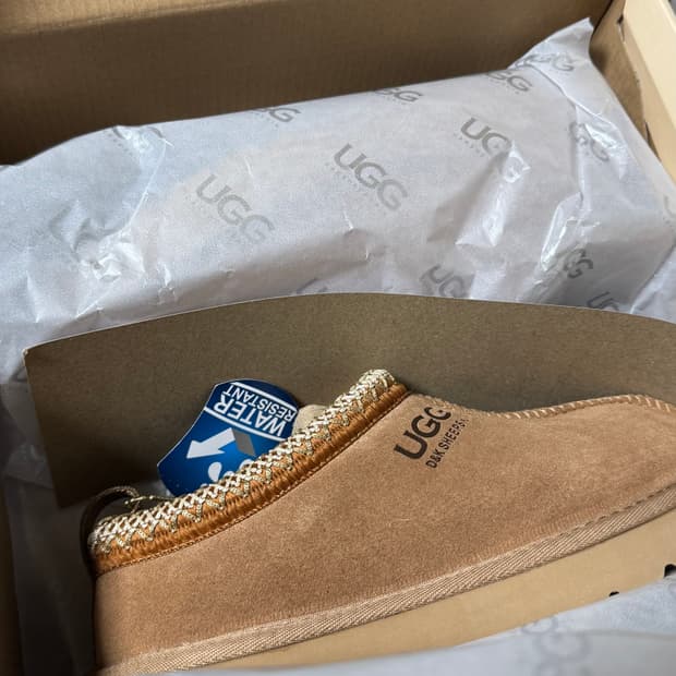 호주어그 타스만 체스넛컬러 230