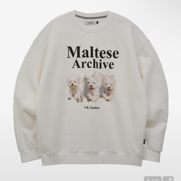 새제품 와이케이 말티즈 맨투맨