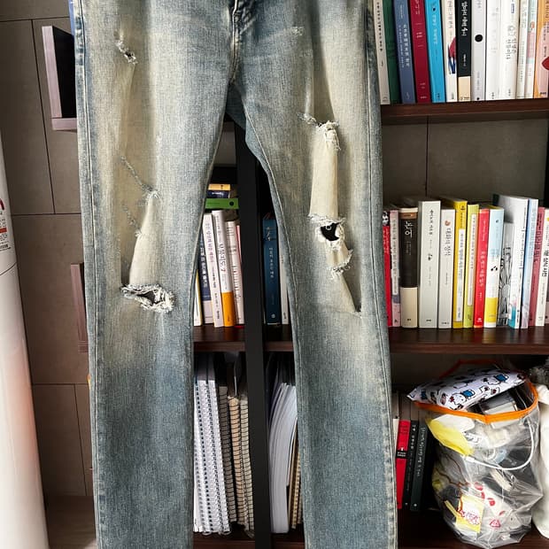 생로랑 16시즌 에디진