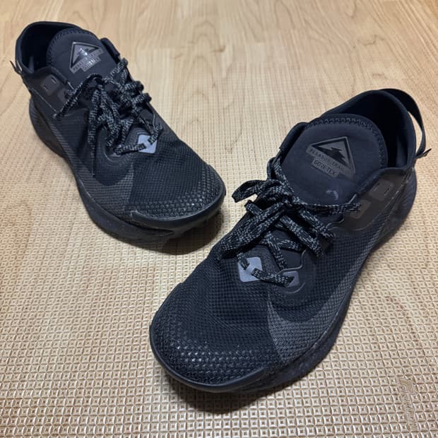 280 나이키 페가수스 트레일3 고어텍스