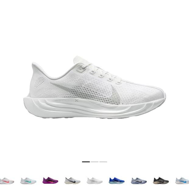 나이키 페가수스 플러스 화이트 울프 그레이