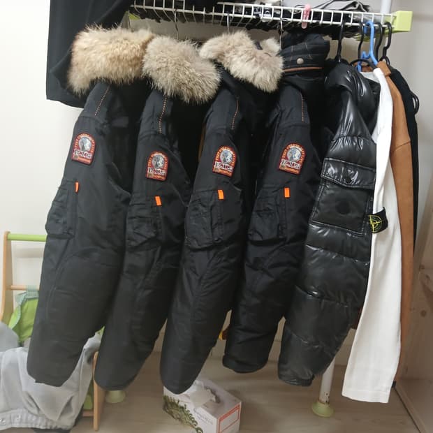 파라점퍼스