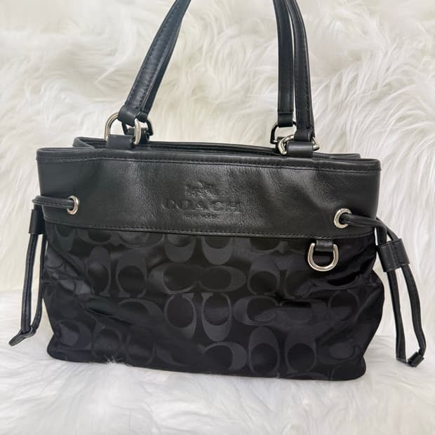 Coach 코치 미니 핸드백