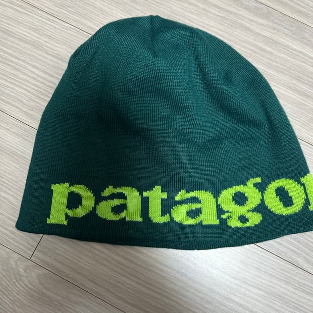 파타고니아 비니