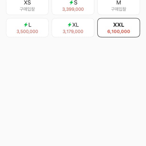 크롬하츠 플로럴 후드티 xxl