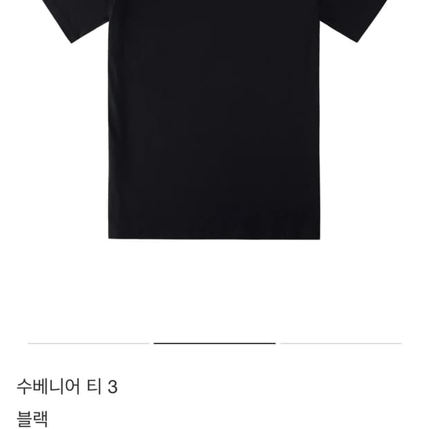 포스트아카이브팩션 수베니어 소나무티 s