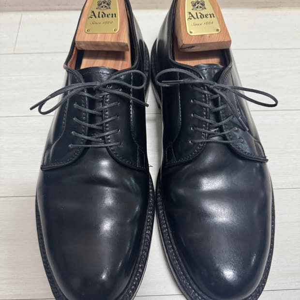 [9D] ALDEN 알든 9901