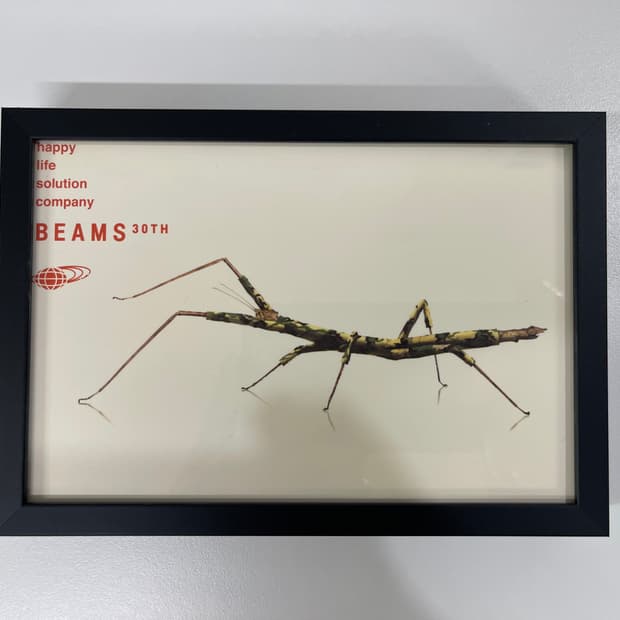 빔즈 30주년 기념 한정 아트 포토 Beams AD2006