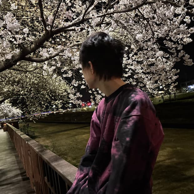 드리스 반 노튼 타이다이 스웻