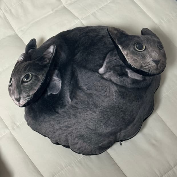 다나나 핀바루 고양이 쿠션